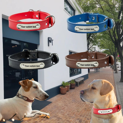Custom Personalized Dog Collar With Name Engraved Id  Leather For All Types Of Puppies And Kittens